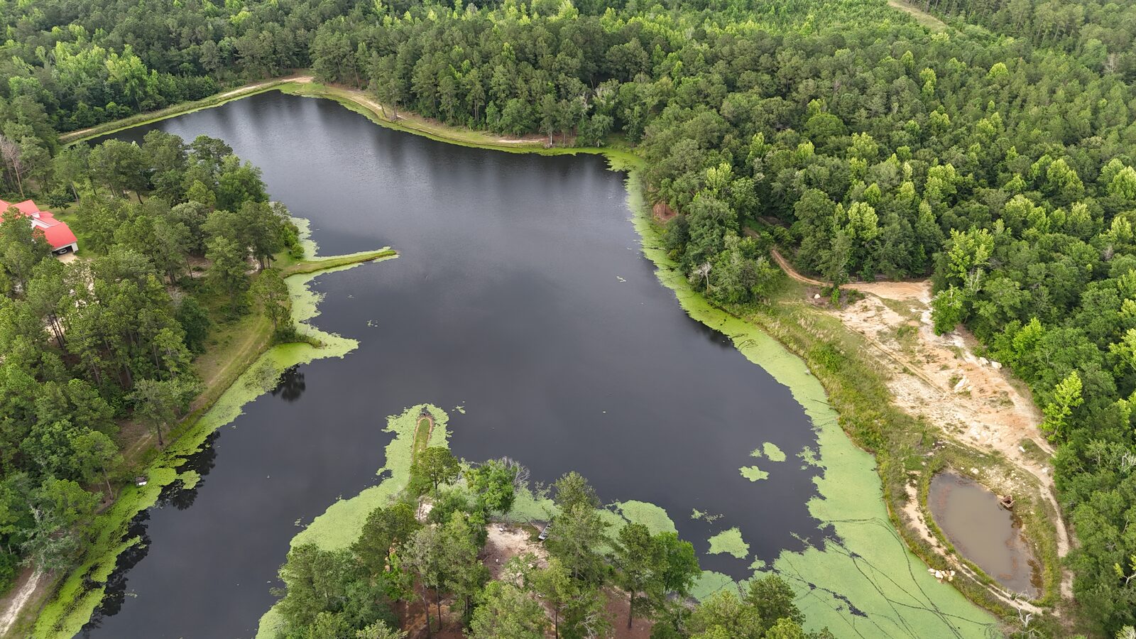 Aerial view of private pond surrounded by forest